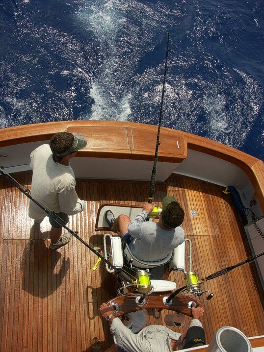 Click to See Next Image